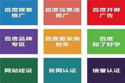 谷歌SEM广告投放的ROI优化：一家科技公司的成功经验